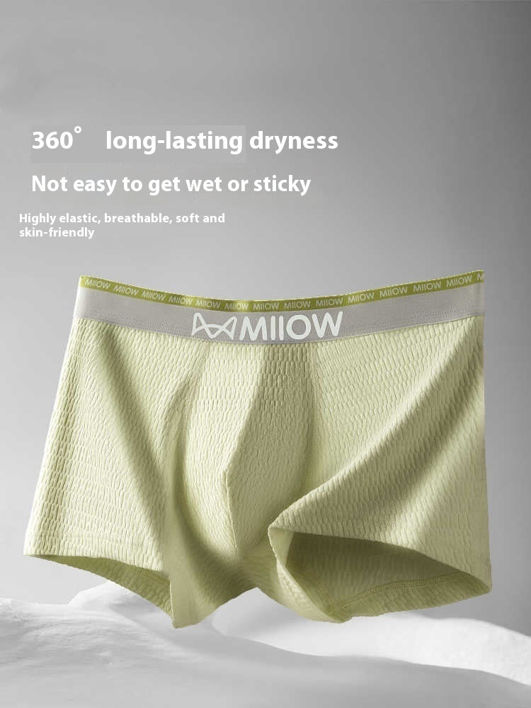 Men's Bubble Cotton Underwear Pure Cotton Antibacterial Breathable Boxers
